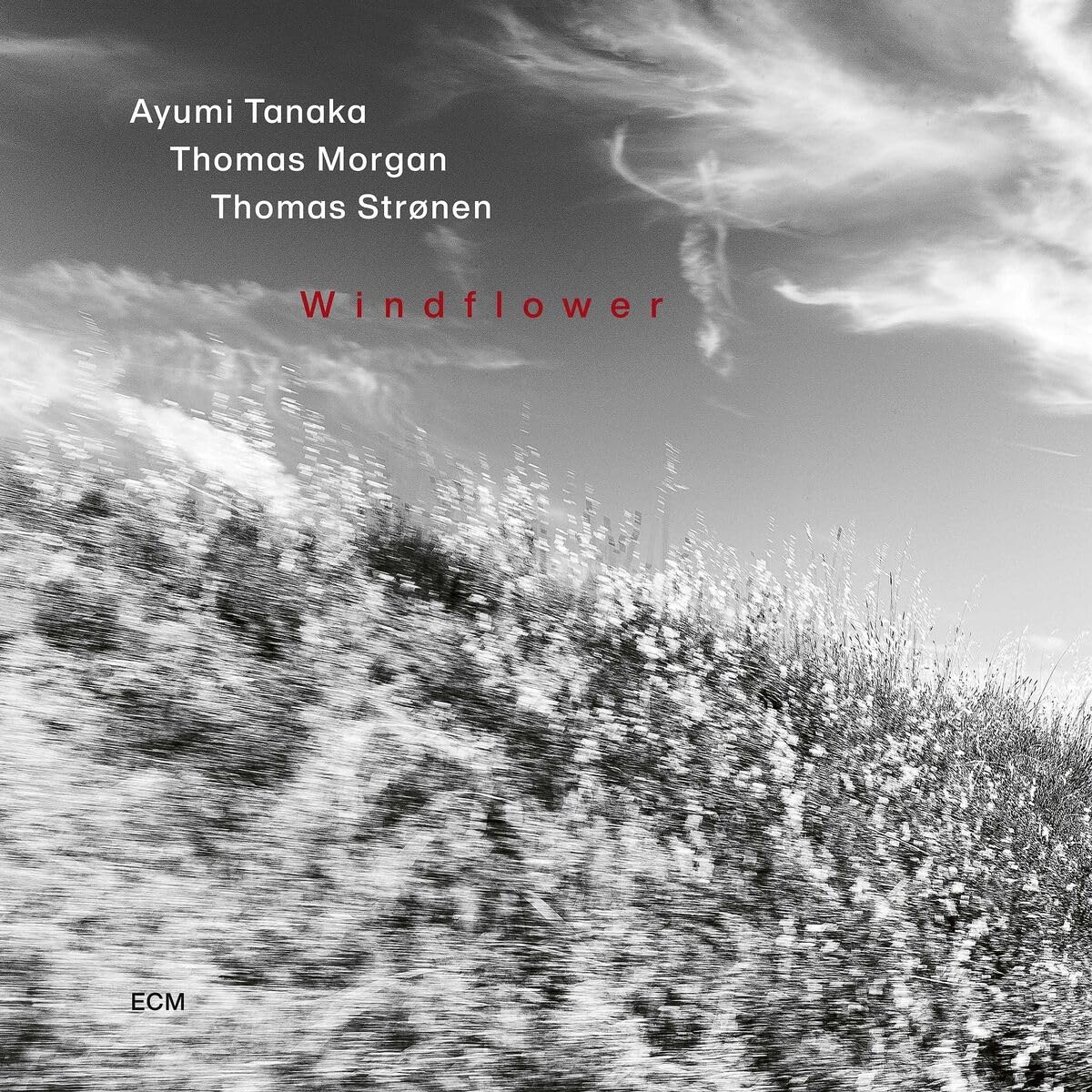 CD Ayumi Tanaka, Thomas Morgan, Thomas Strønen Windflower Supersonic Discos Santander