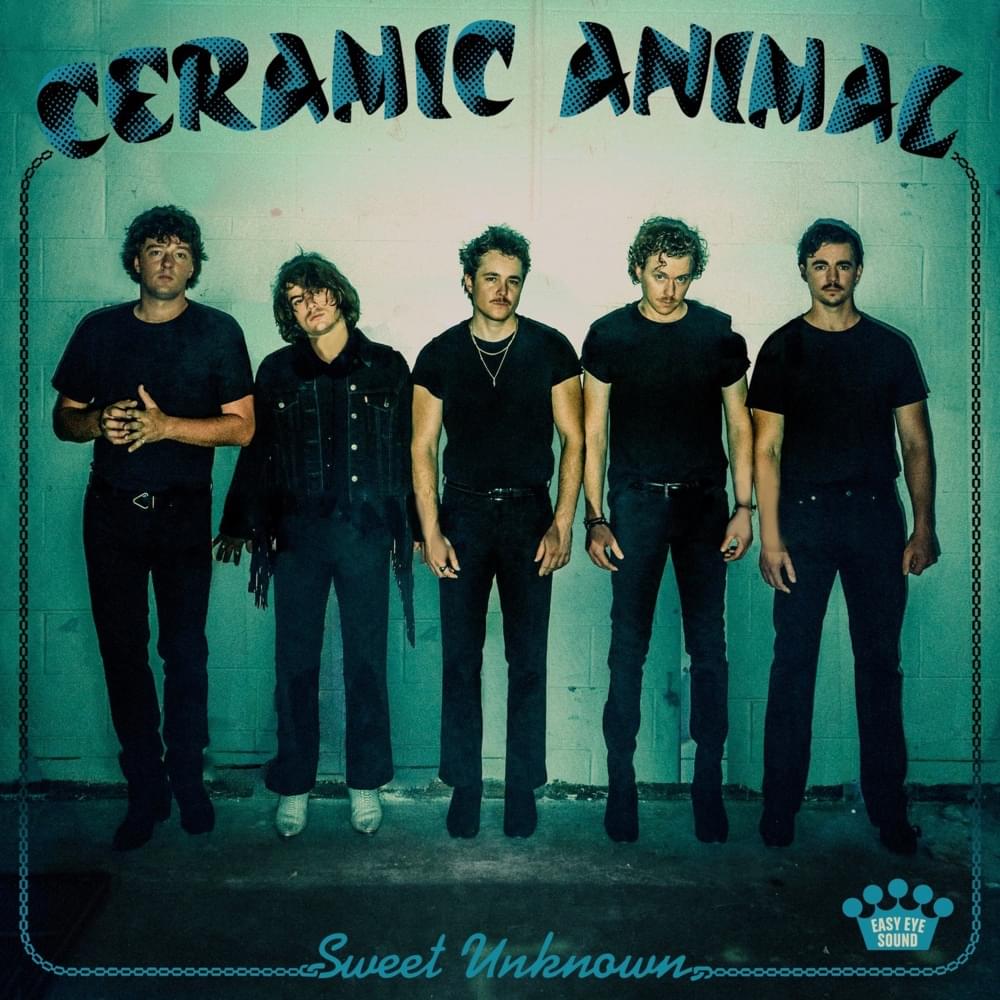Ceramic Animal - Sweet Unknown
