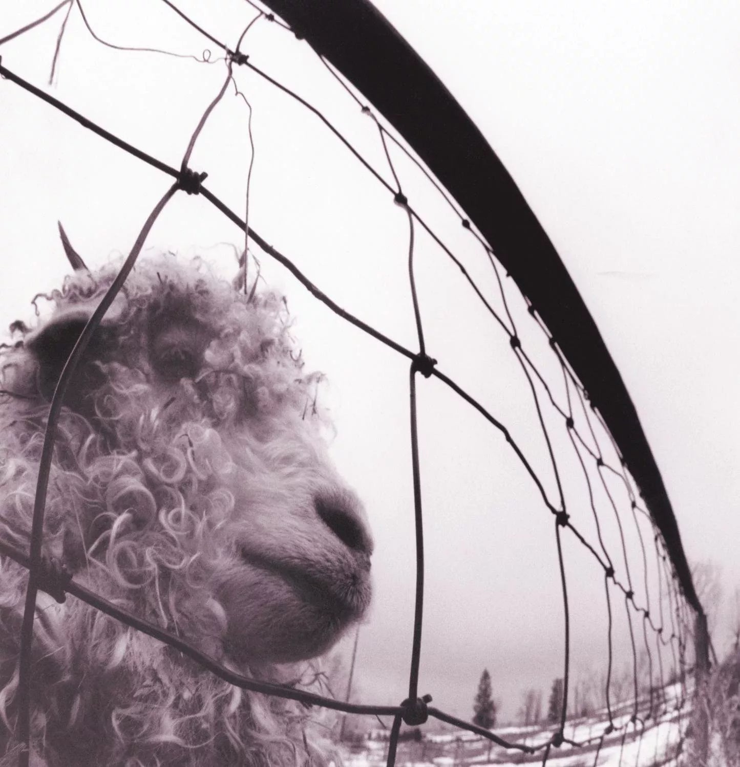 Pearl Jam - VS.