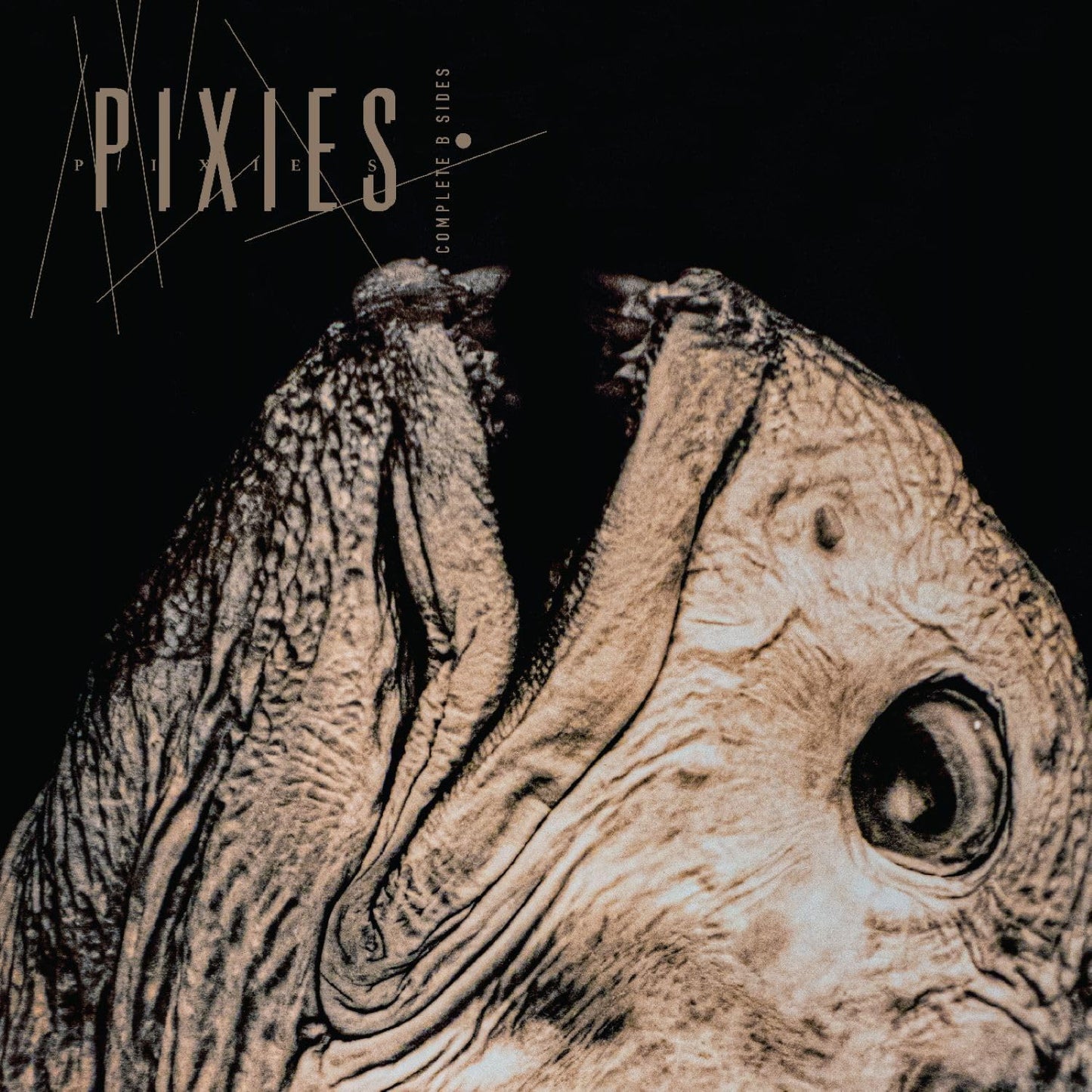 Vinilo Pixies The Complete B-Sides: 1988-97 2LP Supersonic Discos Santander