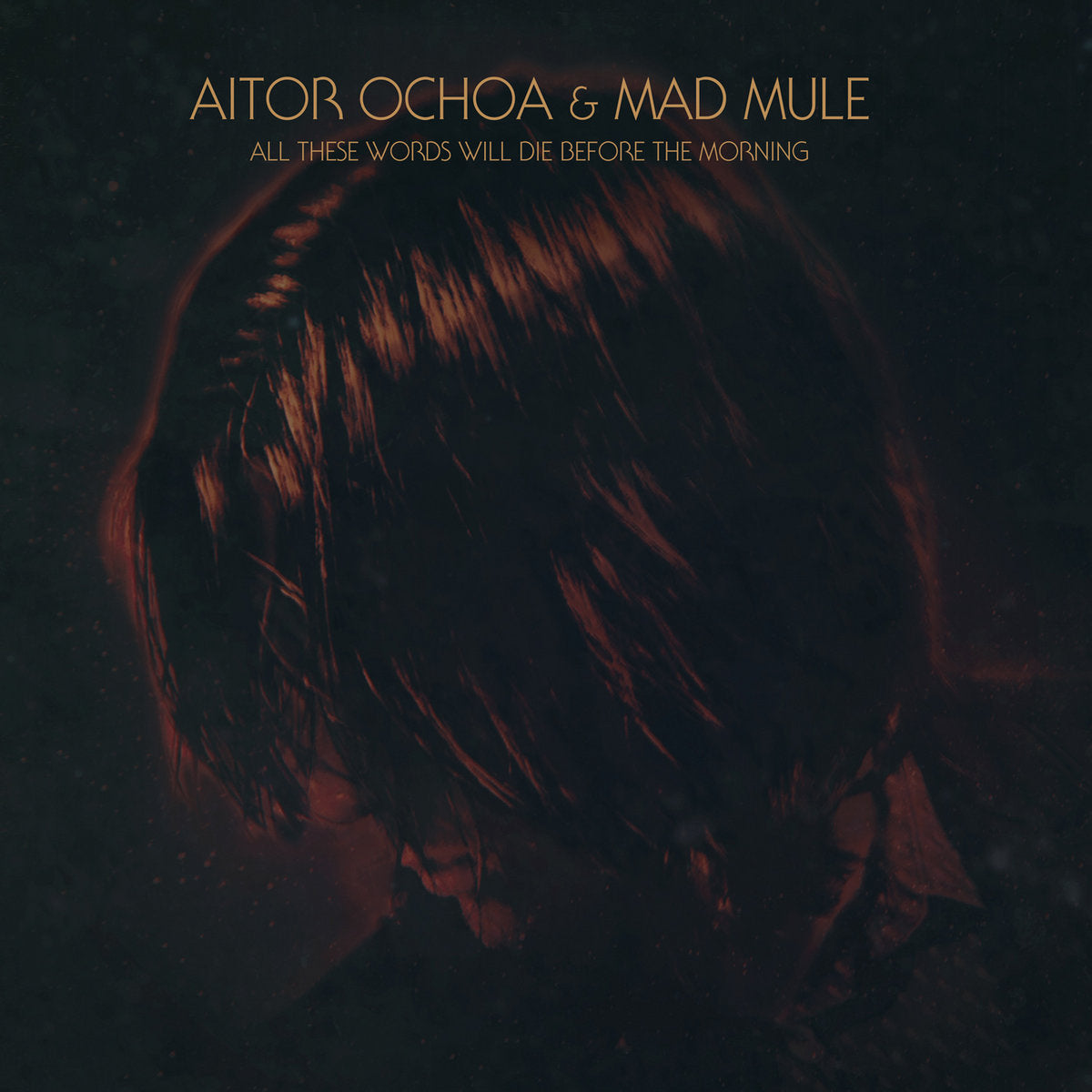 Aitor Ochoa & Mad Mule - All These Words Will Die Before The Morning