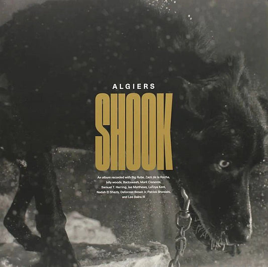 Algiers - Shook