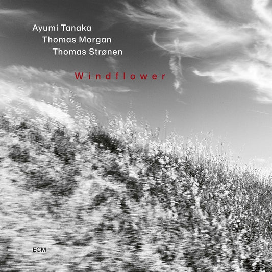CD Ayumi Tanaka, Thomas Morgan, Thomas Strønen Windflower Supersonic Discos Santander