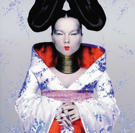Björk - Homogenic