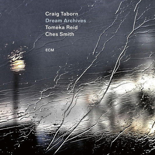Craig Taborn - Dream Archives