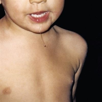 La Paloma - Todavía No