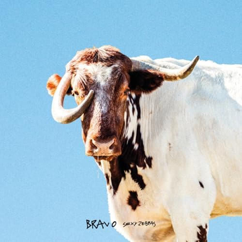 Sexy Zebras - Bravo